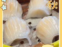 -比斯特上海购物村精品奥特莱斯