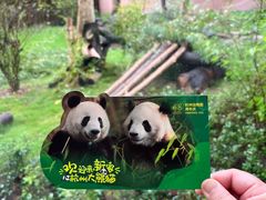 -杭州动物园