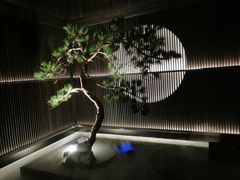 -大拙里·精致融合菜(沙湖桃源国际店)