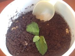 iphone_upload_pic-院落创意菜