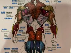 -Dr.stretch·拉伸博士(环球金融中心店)