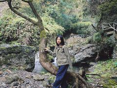 -夏霖九天银瀑风景区