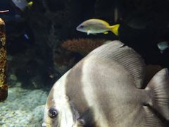 -多彩贵州城极地海洋世界