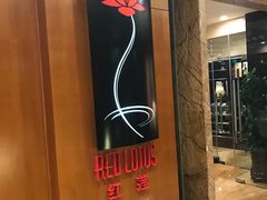 -红莲中餐厅(日航饭店)