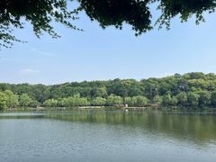 -西湖游船