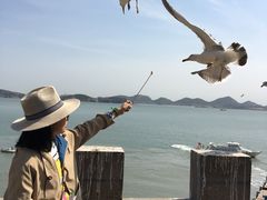 -海驴岛(荣成市)