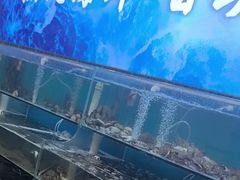 -仙螺岛海鲜自助餐厅(总店)