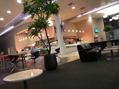 -谢列梅捷沃国际机场
