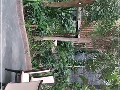 -滕头生态酒店(奉化店)