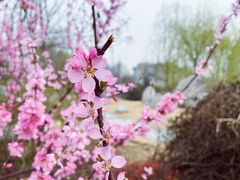 -陕西省西安植物园