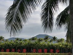 -亚龙湾国际玫瑰谷