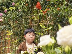 -人民公园(罗湖区)