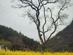 -岳西天峡风景区
