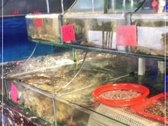 水产区-友强·23年特色海鲜大排档(厦门店)
