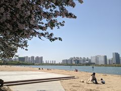 -天鹅湖体育公园