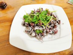 白灼墨斗-陈岱后山窑鸡店