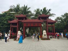 -亚龙湾海底世界