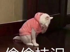 -沙县小吃(龙阳广场店)