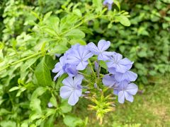 -山城巷传统风貌区