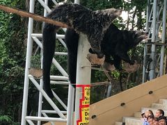 -清迈夜间动物园