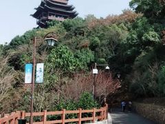 -杭州半山国家森林公园