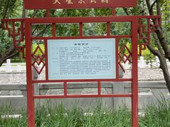 -大望京公园