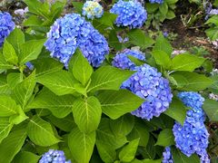 -宜兴龙背山森林公园