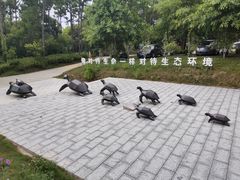 -广东惠东海龟国家级自然保护区