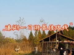 -溱湖国家湿地公园