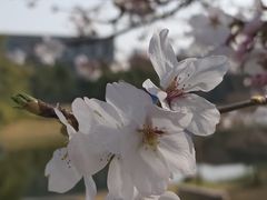 -同济大学(嘉定校区)