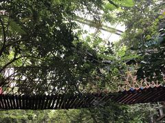 -呀路古热带植物园
