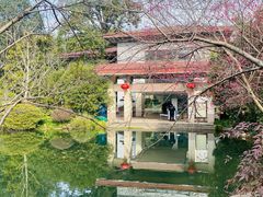 -中国茶叶博物馆(双峰馆区)