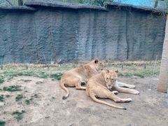 -北京野生动物园