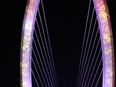 -南京眼步行桥