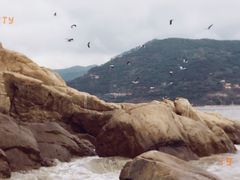 -北岐滩涂