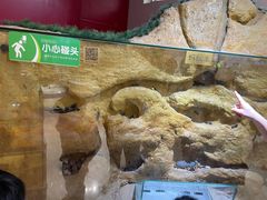 -上海昆虫博物馆