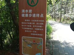 -滴水岩森林公园