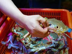 -巽寮印象美食部落餐厅·海鲜·地方特色菜(惠州体验店)