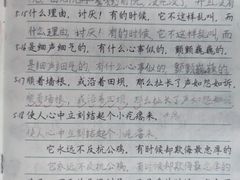 -赵汝飞练字硬笔书法(博泰国际校区)