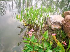 -昆山城市生态森林公园