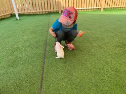 -萌宠亲子动物乐园(槐房万达店)