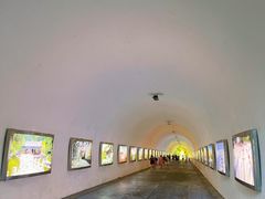 -深圳国际园林花卉博览园