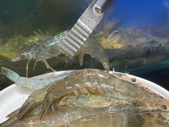-苏格里岛自助烤肉海鲜火锅(成都金牛万达店)