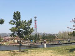 -羊亭河湿地公园