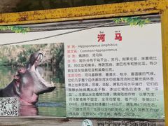 -青藏高原野生动物园