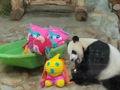 -海南热带野生动植物园