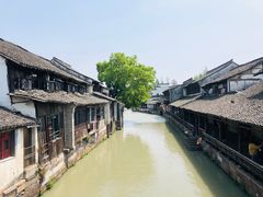 -乌镇东栅景区