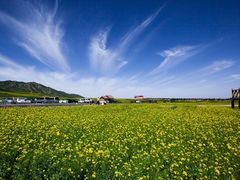 -扁都口生态休闲旅游区