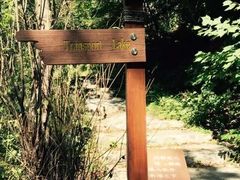 -关门山森林公园