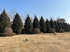 -春晖园度假酒店温泉